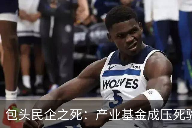包头民企之死：产业基金成压死骆驼的稻草
