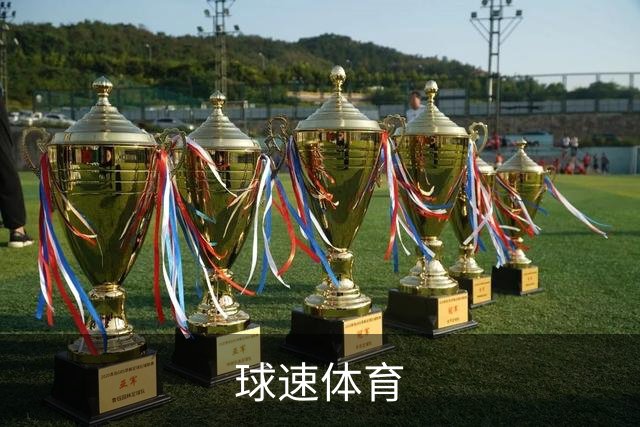 球速体育团队与服务介绍